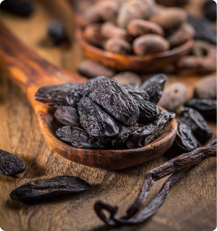 Návrh bez názvu (6)